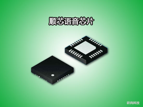 顺芯CODEC(图1)